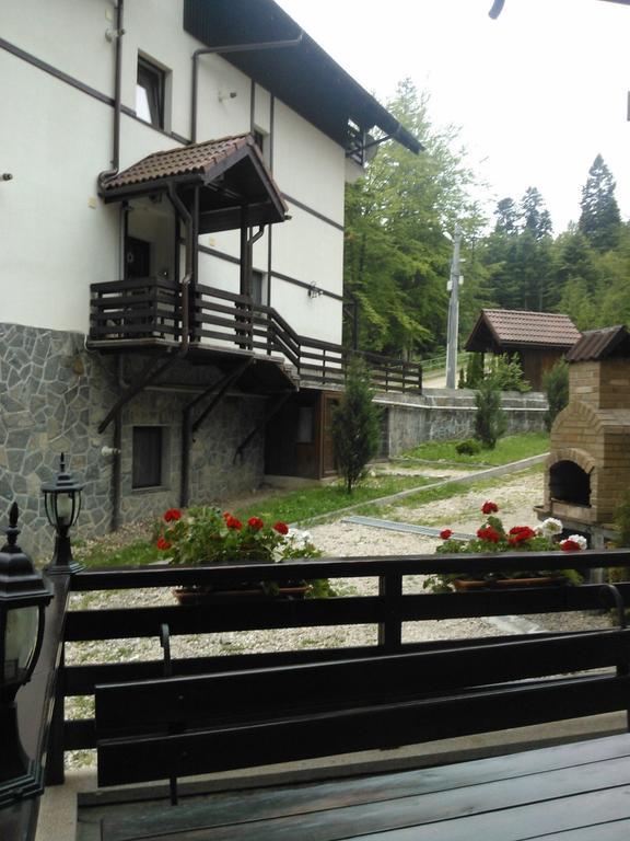 Vila Dani Синая Стая снимка